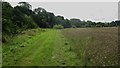 Footpath between river and field