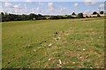 Farmland near Loddington