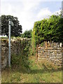 Footpath at Hardwick