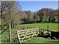 Footpath in the Thornton Beck valley