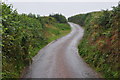 North Devon : Country Lane