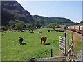 SH5455 : Afon Gwyrfai valley by Roger Cornfoot