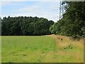 Power line, Gallowhill