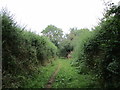 Bridleway to Hardwick