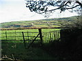 Llwybr Pantycendy Hall  / Pantycendy path