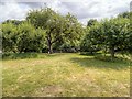 SK9224 : The Orchard at Woolsthorpe Manor by David Dixon
