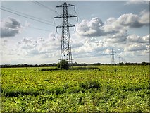 SK8842 : Pylons Across the Potato Fields by David Dixon