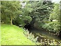 SJ8640 : River Trent at Trentham Gardens by David Dixon