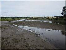 NU2410 : Mud on the bank of the River Aln by Graham Robson