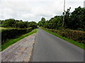 H6559 : Ballyreagh Road, Millix by Kenneth  Allen