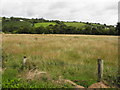 Bockets Townland