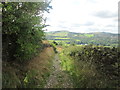 Track towards Hague Fold Farm