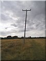 TQ2394 : Telegraph poles behind Mays Lane by David Howard