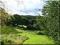 The garden at Upper Fedw, with Pergus Wood in the background