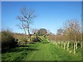 SE2862 : Nidderdale Way approaching Cayton Gill Farm by Derek Harper