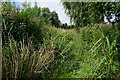 Path at Willow Garth Nature Reserve, Knottingley