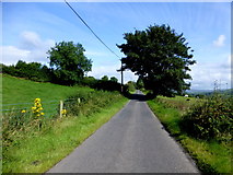 H4180 : Castletown Road, Gortinagin by Kenneth  Allen