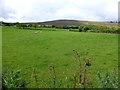 Legacurry Townland