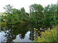 Reservoir for Langcliffe Mill