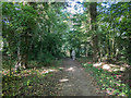 Footpath, Thornton-le-Dale, Yorkshire