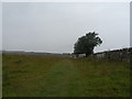 NY8671 : Hadrian's Wall Path approaching Brocolitia Fort by Anthony Parkes