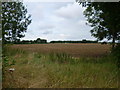 View to the north of Cambourne