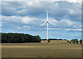 Wheat and turbine near Butterwick Belt