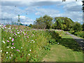 Flowery bank, Crane Park