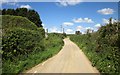 Lane at Venn Farm