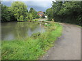 Pond adjacent to track