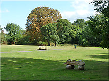 TQ1272 : Open area, Crane Park by Robin Webster