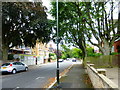 Passing under trees along The Grange