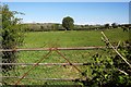 Sheep pasture near Burntwood