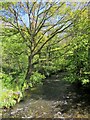 River Lynher at Kerney Bridge