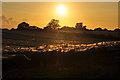 East Devon : Countryside Scenery