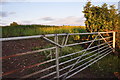 East Devon : : Grassy Field & Gate