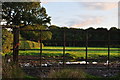 ST0705 : East Devon : : Grassy Field & Gate by Lewis Clarke