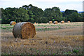 East Devon : Grassy Field