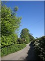 Lane near Golberdon