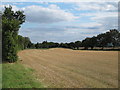 TL8613 : Recently harvested wheat field near Braxted Lane, Great Totham by Roger Jones