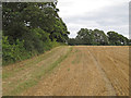 Boundary of harvested wheat field and New Wood, Great Braxted