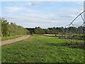 Footpath past horticultural growing sheds, Tiptree Farm