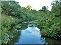 River Crane