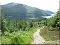 NN2904 : Path up through the forest above Loch Long by Peter S