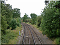 TQ1170 : Shepperton branch from Kempton Park Lane bridge by Robin Webster