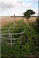 Kissgate, drain, footpath, power lines and lots of bindweed