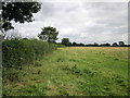 Footpath to Christleton