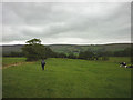 Footpath to Pale Farm