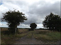 TM2998 : Footpath to Kirstead Ling by Geographer