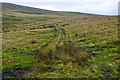 SX5690 : West Devon : Dartmoor Scenery by Lewis Clarke